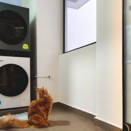 A ginger cat sits on the floor in a laundry room, looking up at a large window beside a stacked washer and dryer.