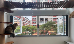 A cat sits on a perch by an open window, safely enjoying the view of trees and residential buildings on a cloudy day, thanks to cat proofing windows with secure cat mesh for windows.